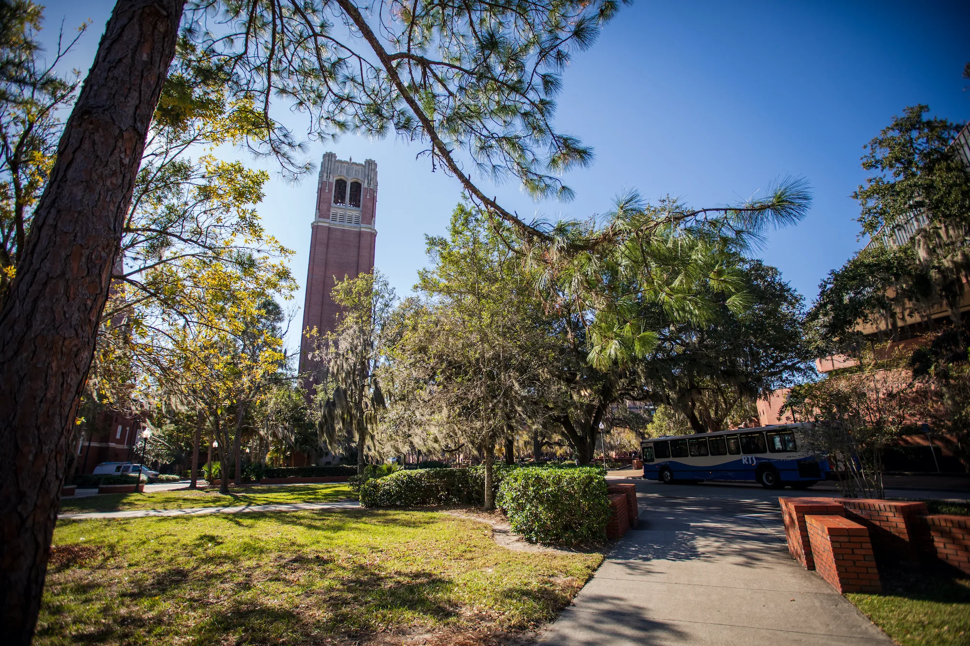 CISE celebrates a new class of distinguished alumni