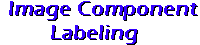 Image Labeling
